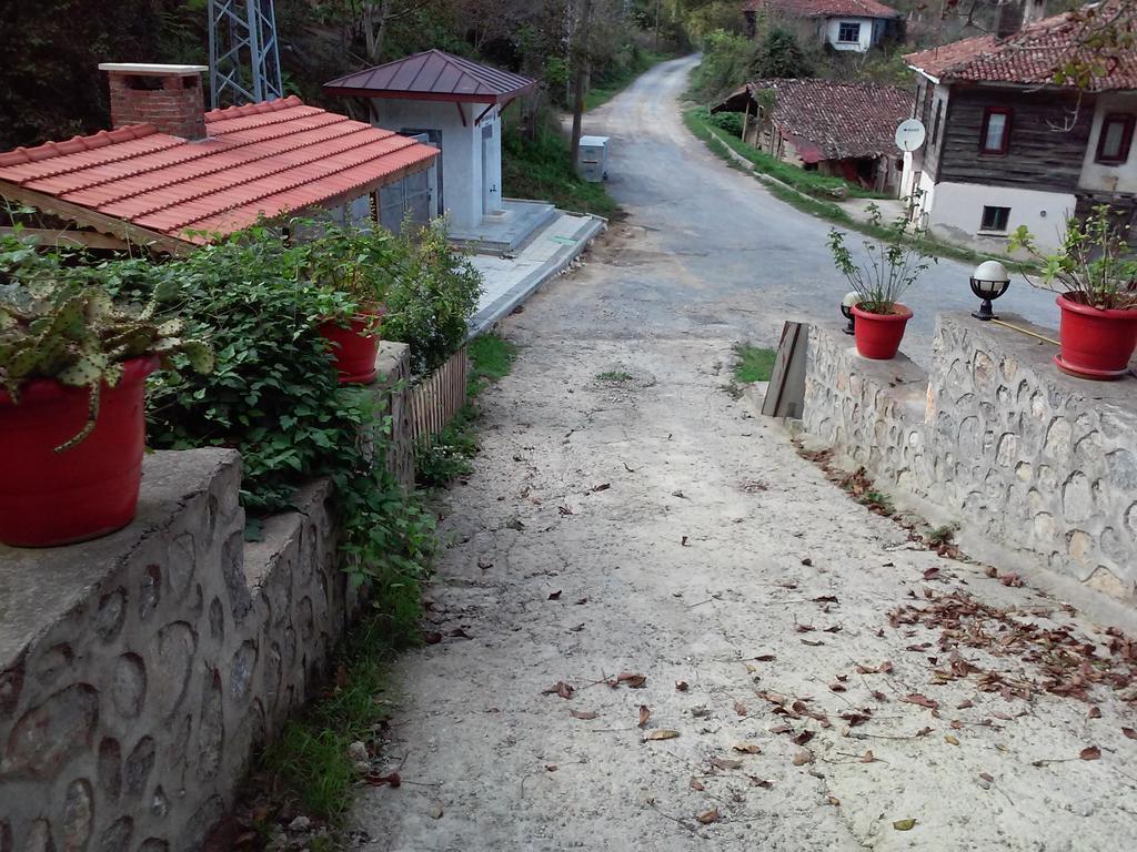 Ekoland Hotel Ağva Luaran gambar